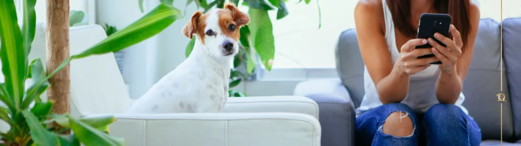 veterinario vicino