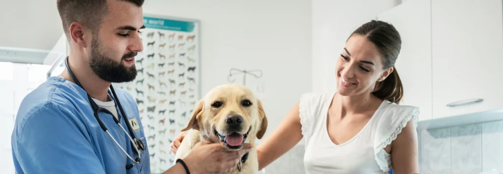 missione veterinario